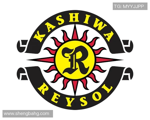 柏太阳神迎战金泽全力争胜力争积分榜上升